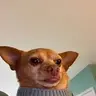 TMiguel
